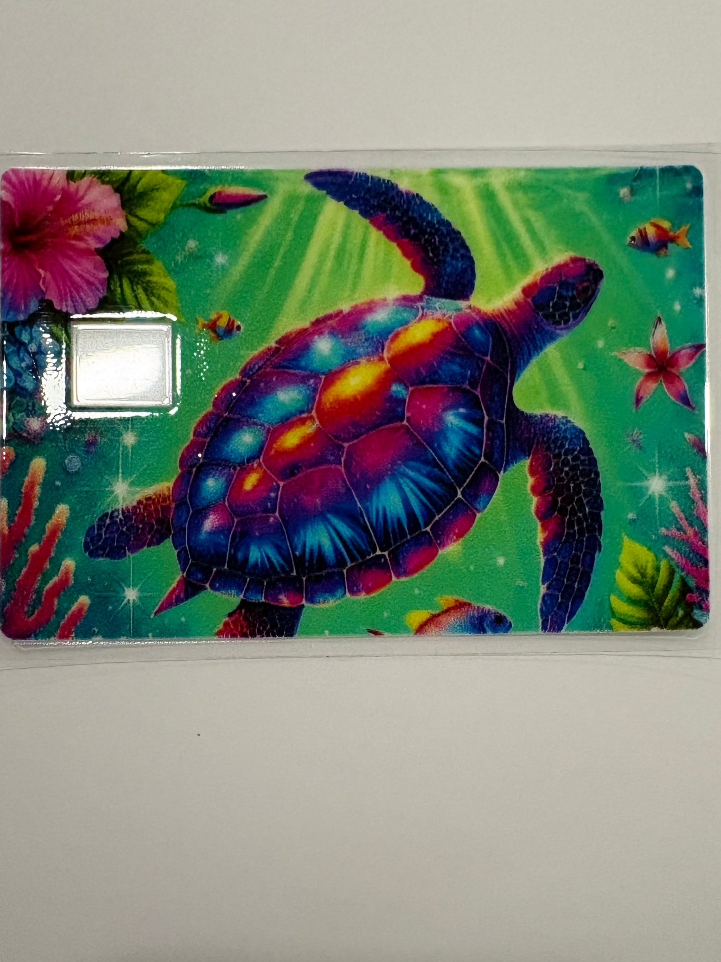 CC Turtles 2