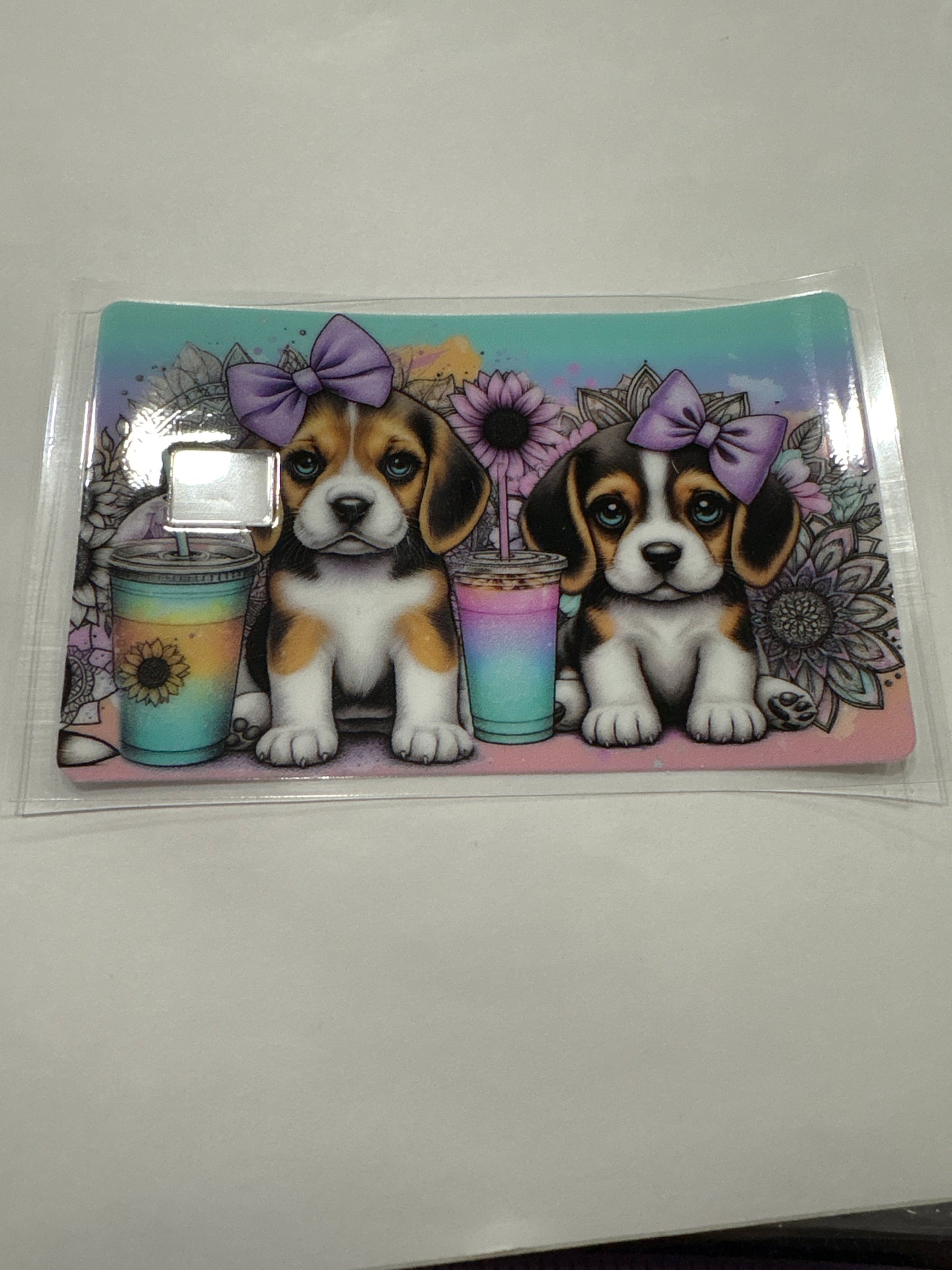 CC Dogs