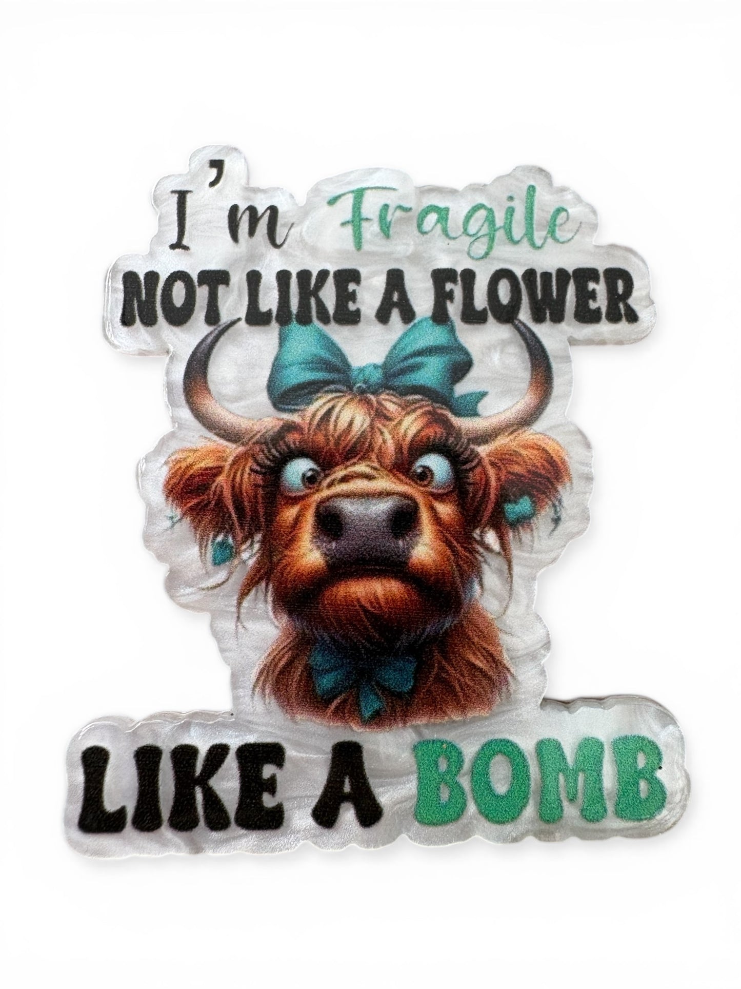 Cows-Sassy