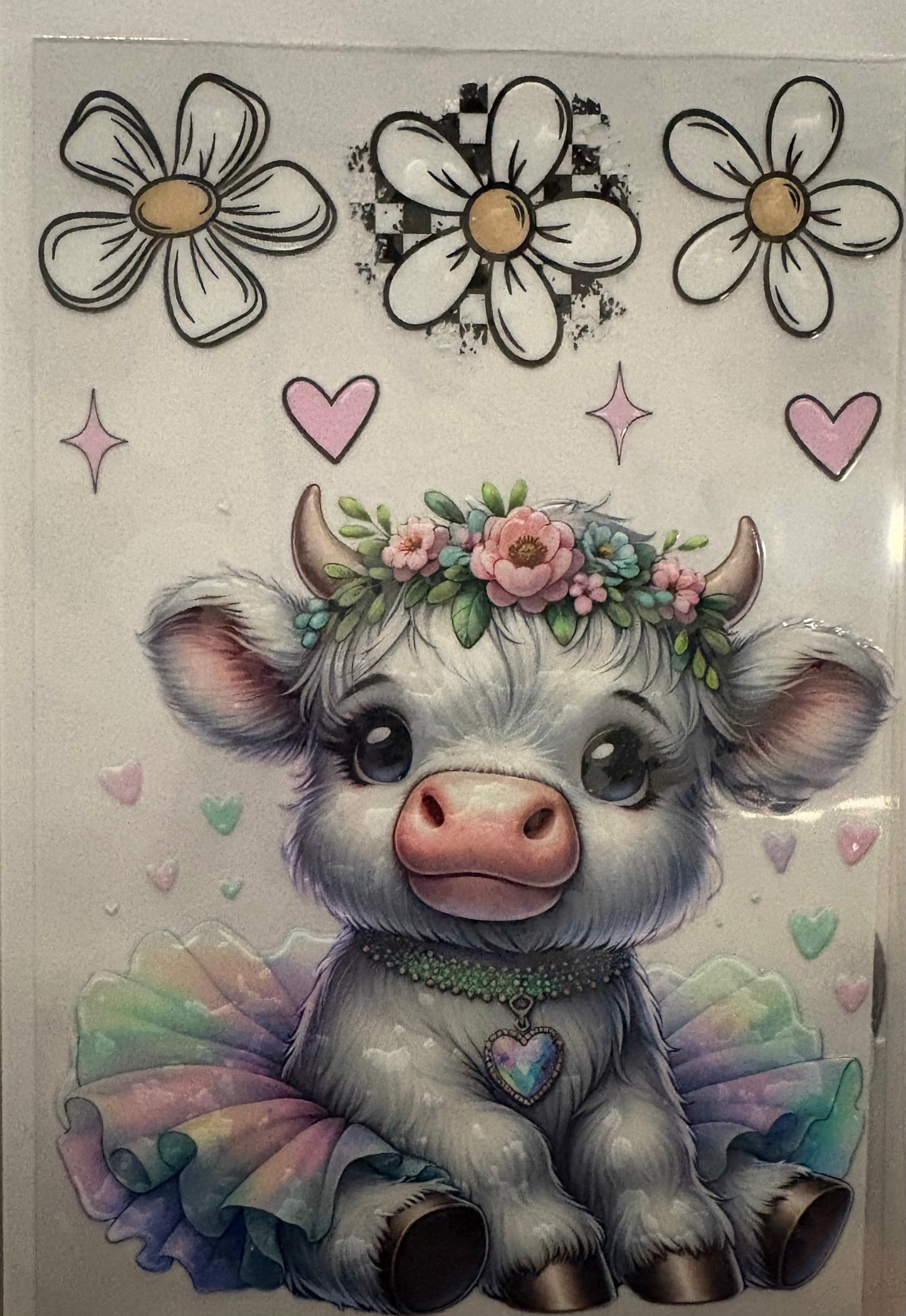 Cows