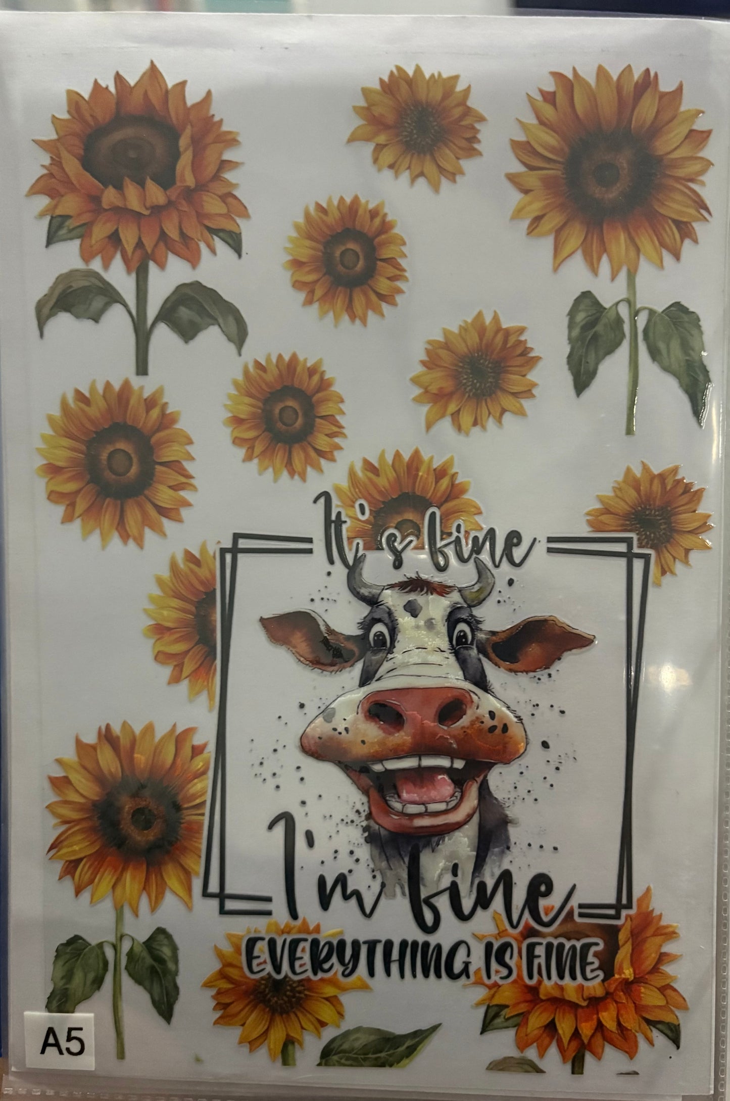 Cows